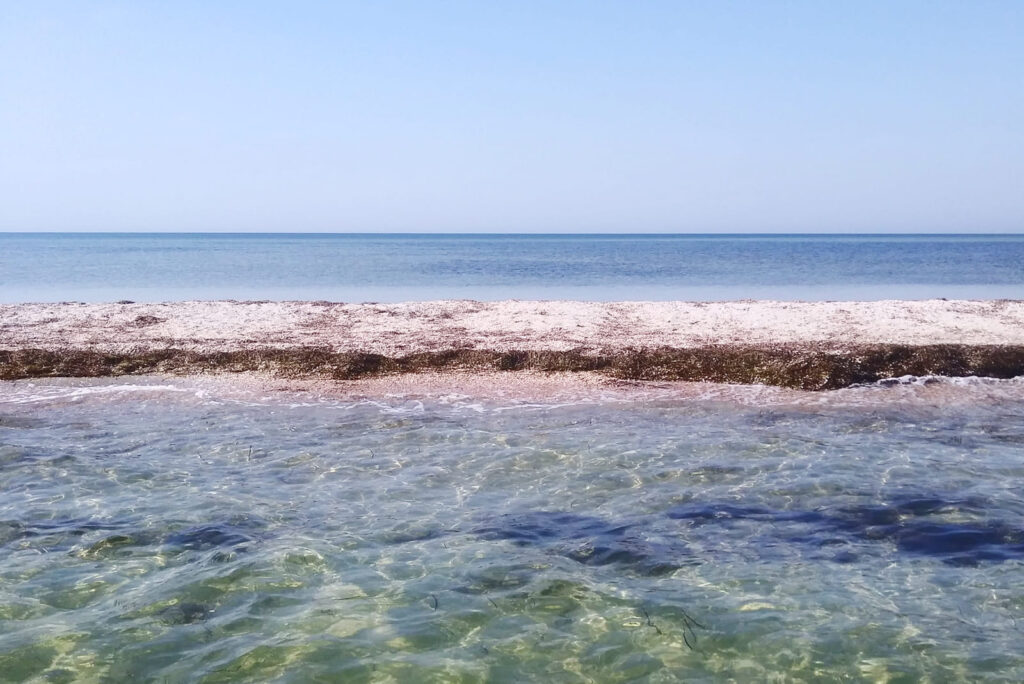 Глубина Джарылгачского залива