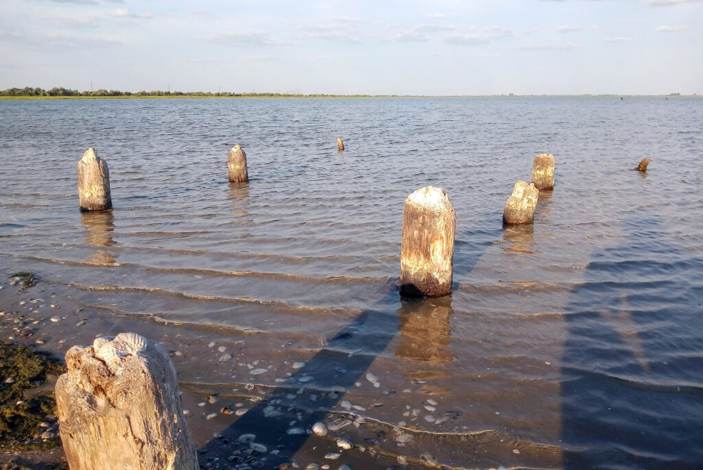 Остатки деревянных чек в Устричном озере