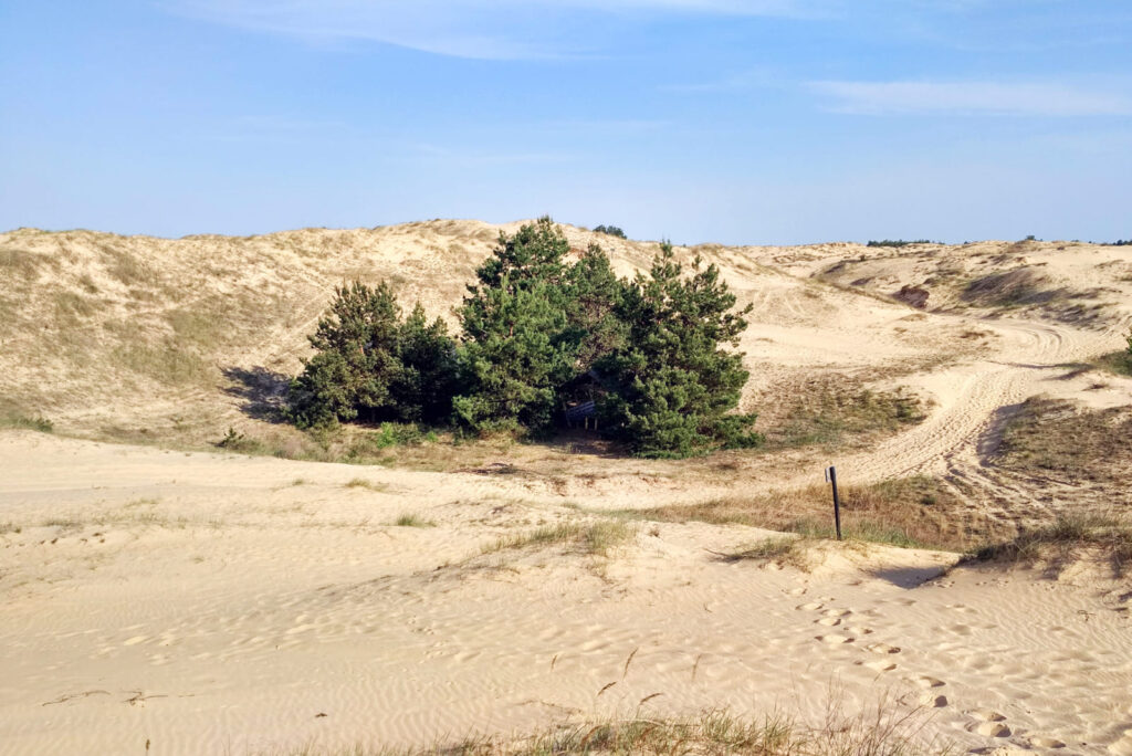 Олешковские пески и почвы поближе