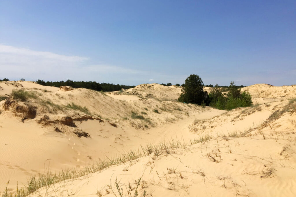 Олешковские пески летом