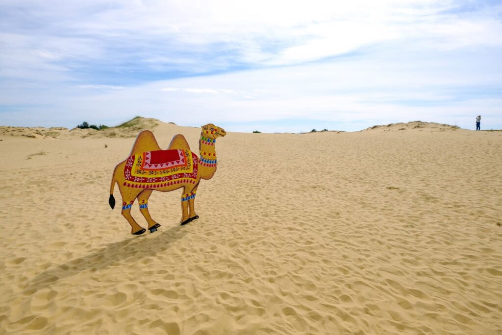 Инсталляция в виде верблюда на территории Олешковских песков