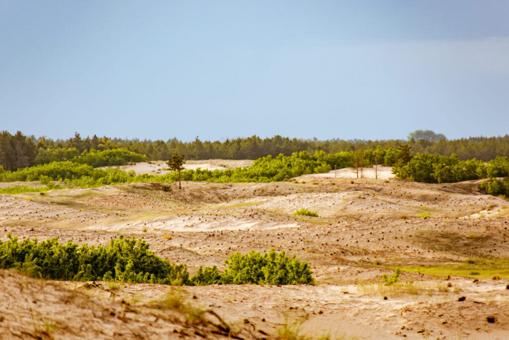 Панорама Олешковских песков