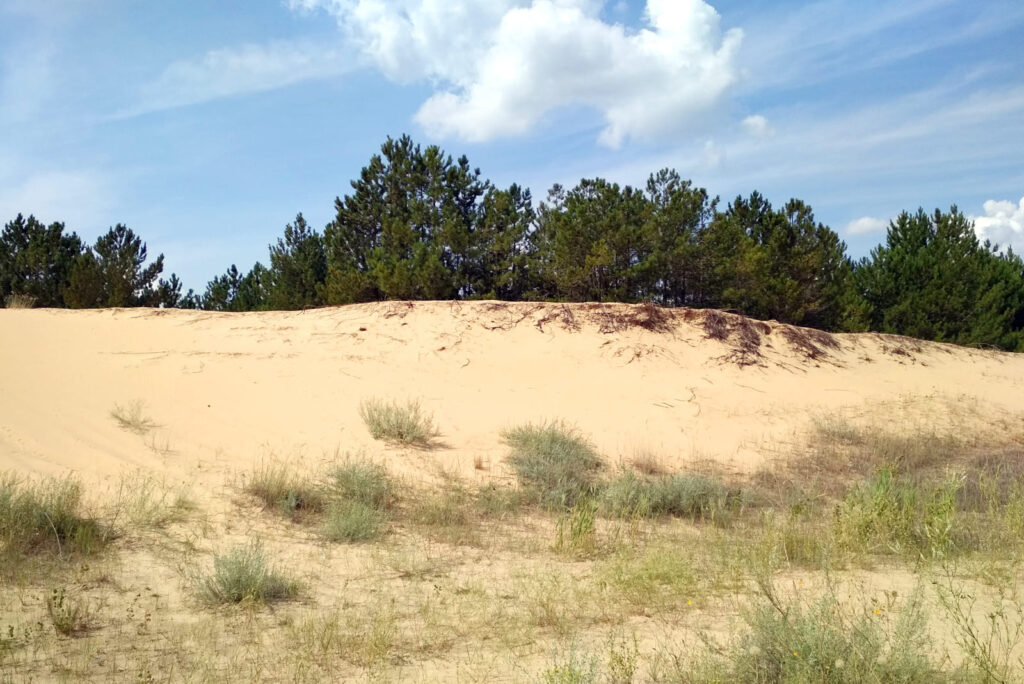 Пустынные Олешковские пески